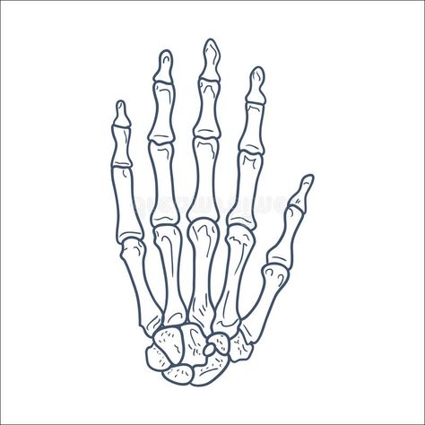 Skull Finger Tattoos, Bone Hand Tattoo, Skeleton Hands Drawing, Tattoo Stencil Designs, Chest Tattoo Stencils, Hand Outline, Tattoo Design For Hand, Wrist Tattoo Designs, Skull Hand Tattoo