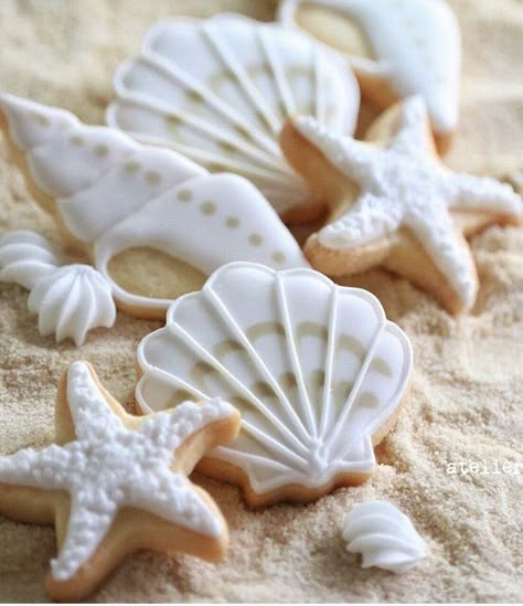 Seashell Cookies Royal Icing, Seashell Sugar Cookies, Seashell Cookies Decorated, Sea Cookies Decorated, Under The Sea Sugar Cookies, Ocean Treats, Ocean Cookies, Shell Cookies, Seashell Cookies