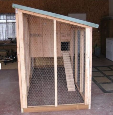 Simple Chicken Coop Plans, Chicken Coop with Run, Laying Coop, Duck Coop Plans, 10 Chicken Coop Plan, PDF Download, Woodworking Plans ️ Build a safe and functional home for your feathered friends with our Simple Chicken Coop Plans! Designed for both chickens and ducks, these plans provide everything you need to create a cozy and efficient coop. 🌟 Key Features: Versatile Design: Suitable for chickens and ducks, with space for up to 10 birds. 🐔🦆 Run Included: Features a spacious run for your bi Duck Coop Plans, 10 Chicken Coop, Simple Chicken Coop Plans, Simple Chicken Coop, Chicken Coop With Run, Chicken Water Feeder, Mobile Chicken Coop, Automatic Chicken Coop Door, Easy Chicken Coop