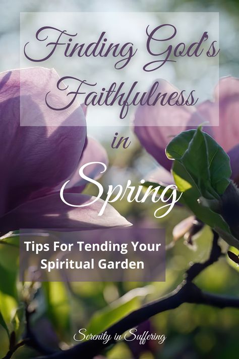 Spring Blessings Quotes, Spring Scripture, Spring Bible Verses, Prayer Topics, Spiritual Garden, Spring Quotes, Spiritual Encouragement, Blessed Quotes, Finding God