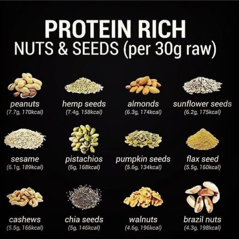 These are high protein nuts and seeds. Follow my Pinterest account for more great content! Protein Rich Food, Ayurveda Lifestyle, Raw Peanuts, Rich Food, Food Health Benefits, Healthy Nuts, Healthy Weight Gain, Protein Rich Foods, Vegan Nutrition