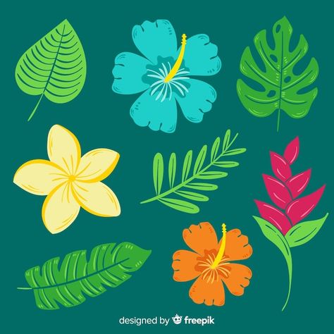 Graphic Editing, Vector Hand, Punch Needle, Tropical Flowers, Flowers And Leaves, Cricut Crafts, Graphic Resources, Adobe Illustrator, Hand Drawn