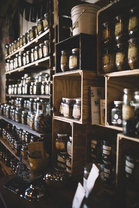 Herbalism, Inspiration & More At Villagers, Asheville | Free People Blog #freepeople Herbalist Shop, Herbal Shop, Apothecary Decor, Herb Shop, Witch Shop, Herbal Apothecary, Magic Shop, Back To Nature, Tea Shop