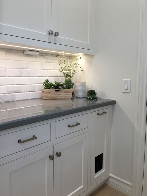 Laundry Room Door With Cat Door, Cat Door Laundry Room, Laundry Cat Litter, Cat Box In Cabinet, Small Laundry Room Ideas With Cat Litter, Laundry Room With Kitty Litter, Hidden Litter Box In Laundry Room, Cat Litter Box Laundry Room, Kitty Litter In Laundry Room