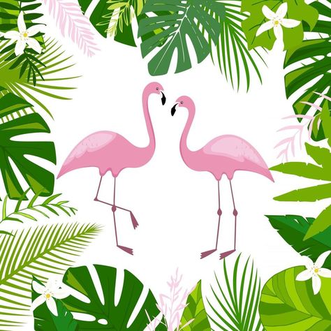 Pink flamingos green palm leaves jungle leaf composition and white flowers Beautiful floral summer tropical vector illustration isolated Exotic bird print Leaf Composition, Bird Peacock, Green Palm Leaves, Tropical Bird, Exotic Bird, Summer Tropical, Flowers Beautiful, Tropical Birds, Bird Print