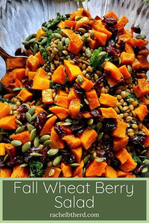 Wheatberry Salad Recipes, Wheatberry Recipes, Wheat Berries Recipe, Barley Butternut Squash Salad, Wheat Berry Apple Salad, Costco Autumn Grain Salad, Butternut Squash Goat Cheese Salad, Wheat Berries Salad, Make Ahead Meal Prep