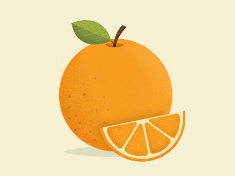 Orange Slice Illustration, Cute Orange Drawing, Orange Fruit Drawing, Orange Slice Drawing, Tangerine Illustration, Orange Fruit Illustration, Oranges Illustration, Nutcrackers Display, Orange Drawing