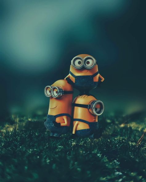 Minion Wallpaper Hd, Minion Wallpaper Iphone, Cute Minions Wallpaper, Cute Pics For Dp, Minions Minions, Minions Images, Cute Minions, Nature Iphone Wallpaper, Minions Wallpaper