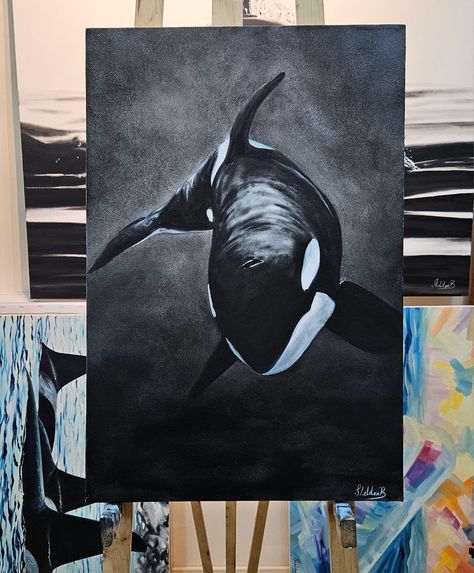 Orca Art Drawing, Orca Painting Easy, Whale Acrylic Paintings, Whale Painting Acrylic, Orca Watercolor, Orca Drawing, Marine Life Painting, White Charcoal Drawings, Orca Painting