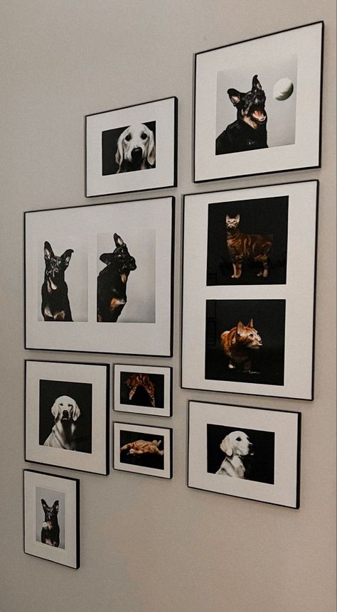 Dog Portrait Wall Decor, Pet Room Decor Ideas, Dog Photo Gallery Wall, Dog Frames Ideas Wall Art, Dog Photo Collage Ideas, Pet Portrait Gallery Wall, Dog Photo Frame Ideas, Pet Collage Wall, Pet Pictures Wall