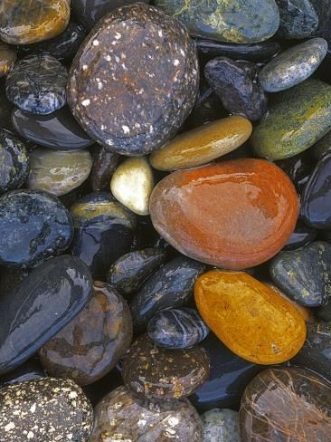 size: 12x9in Photographic Print: Stones, Lopez Island, Agate Beach County, Washington, USA by Charles Gurche : Kenku Warlock, Luke Aesthetic, Rockhounding Washington, Rock Tumbling, Lopez Island, Beach Finds, Lake Champlain, Washington Usa, River Rocks