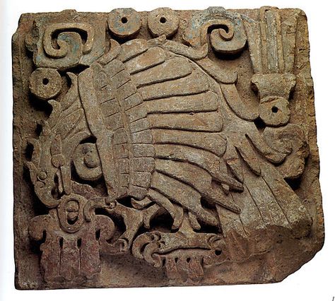 Eagle Relief 10th-13th century  Toltec stone sculpture History Tattoos, Mayan Art, Ancient Mayan, Aztec Art, Relief Sculpture, Ancient Cultures, Mexican Art, Art Google, Ancient History