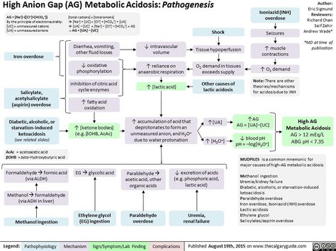 High Anion Gap Metabolic Acidosis Pathogenesis Anion Gap, Metabolic Acidosis, Nurse Practitioner School, Arterial Blood Gas, Medical Mnemonics, Mcat Study, Brain Book, Medicine Notes, Nursing Care Plan