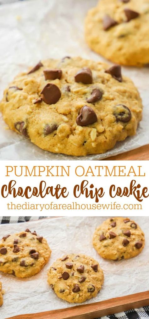 Oatmeal Chocolate Cookies, Pumpkin Oatmeal Chocolate Chip, Pumpkin Oatmeal Chocolate Chip Cookies, Oatmeal Chocolate Chip Cookie, Pumpkin Oatmeal Cookies, Pumpkin Oats, Pumpkin Cookie Recipe, Oatmeal Chocolate Chip, Pumpkin Chocolate Chip Cookies