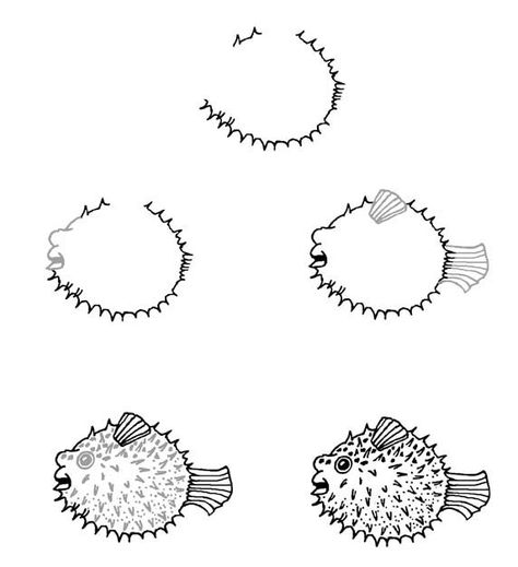 Pufferfish Drawing, Draw Seashells, Puffer Fish Drawing, Fish Drawing, Fish Coloring Page, Drawing Lesson, Puffer Fish, Drawing Step, Fish Drawings