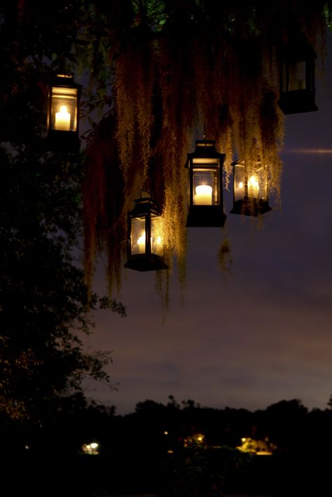 Samhain Night in the South - lanterns among Spanish moss. Bayou Party, Medicinal Gardening, Swamp Party, Moss Hanging, Swamp Theme, Light Posts, Voodoo Halloween, Louisiana Bayou, Mental Peace