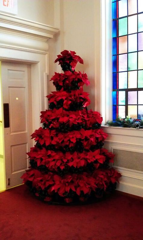 Christmas Tree With Poinsettia Flowers, Poinsettia Tree, Poinsettia Decor, Amazing Christmas Trees, Church Christmas Decorations, Christmas Lollipops, Red Christmas Decor, Christmas Plants, Blue Christmas Decor