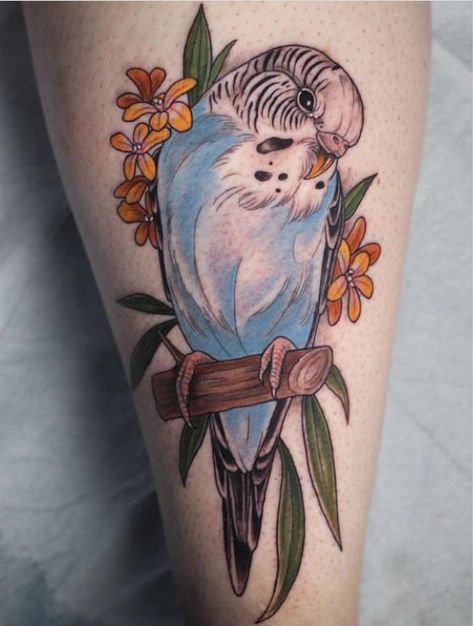 Parakeet Tattoo Design, Budgie Tattoo Ideas, Budgies Tattoo, Budgerigar Tattoo, Blue Tattoo Sleeve, Budgie Tattoo, Parakeet Tattoo, Cockatiel Tattoo, Juno Tattoo