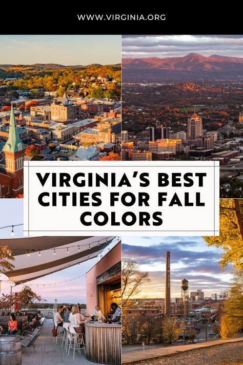 Experience the best of Virginia's cities this fall! From hidden gems to lively music scenes, find out where to go for the ultimate autumn escape. Hotel Rooftop Bar, Hollywood Cemetery, Virginia Fall, Lewis Ginter Botanical Garden, Fall City, Cities To Visit, Fall Getaways, Virginia City, Shenandoah National Park