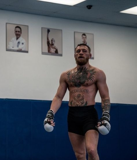 Conor Mcgregor Hairstyle, Conor Mcgregor Style, Boxer Aesthetic, Mma Motivation, Connor Mcgregor, Dapper Gentleman Style, Ufc Boxing, Notorious Conor Mcgregor, Endurance Workout