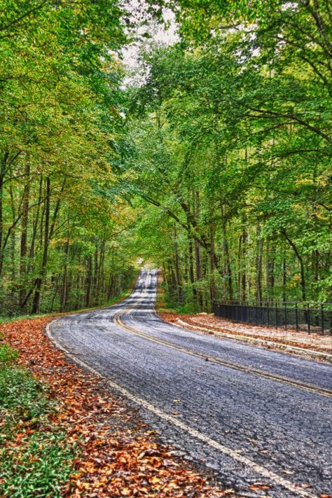 South Carolina mountain road. Sc State Parks, Upstate South Carolina, South Carolina Travel, Beautiful Roads, Mountain Road, Interesting Places, Hilton Head Island, On The Road Again, Explore Nature