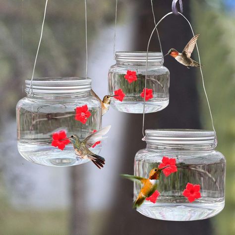 PRICES MAY VARY. Versatile Design: This hummingbird feeder features a Mason jar design with three feeding ports, allowing multiple hummingbirds to feed simultaneously. Easy to Use: Simply fill the Mason jar with your desired nectar solution and hang it using the included metal hanger. Durable Construction: Made from high-quality materials, this feeder is designed to withstand outdoor conditions. Compact Size: The compact design makes it easy to place the feeder in your garden or outdoor space. A Mason Jar Bird Feeders, Window Bird Feeder, Glass Hummingbird Feeders, Wild Bird Feeders, Hummingbird Feeder, Hanging Bird Feeders, Humming Bird, Humming Bird Feeders, Outdoor Decor Backyard