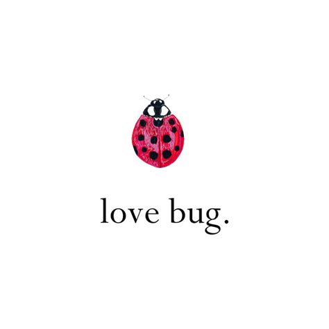 love bug Alpha Sig A Ladybug, Love Bug, Happy Words, Love Bugs, Pics Art, Hopeless Romantic, Pretty Words, Artsy Fartsy, Pretty Quotes