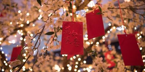 red cards with messages on the traditional Japanese wishing tree Lunar New Year Rituals, New Year Rituals, Wishing Tree Wedding, Chinese Money Tree, Simple Rituals, Potted Mums, Red Cards, Japanese Traditional Clothing, Mums Flowers