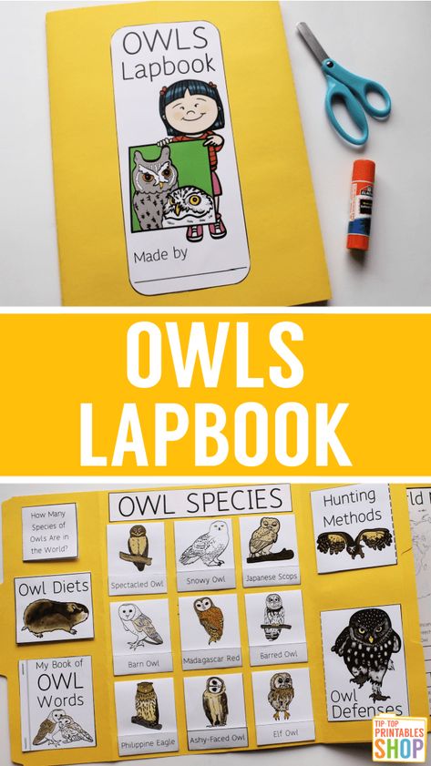 Owl Lapbook - Homeschool Share Owl Lapbook, Animal Lapbook, Owl Study, Owl Habitat, Homeschool Science Lessons, Owl Activities, Flying Creatures, Animal Studies, Owl Species