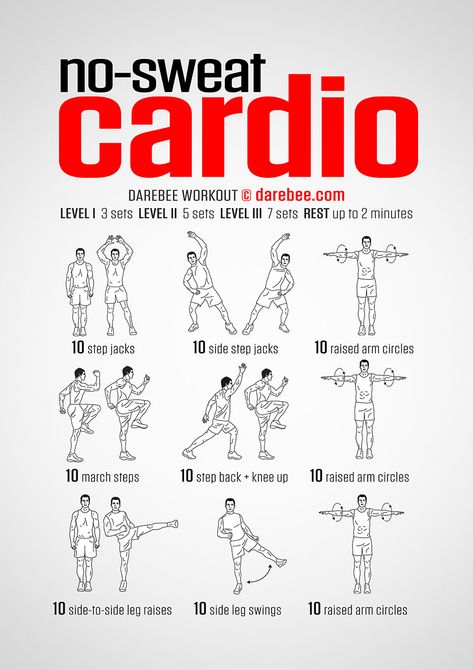 No-Sweat Cardio Workout Beginners Cardio, Workout Plan For Beginners, Sweat Workout, Ab Workout At Home, Workout Plan Gym, At Home Workout Plan, Workout Routines, Work Outs, Free Workouts