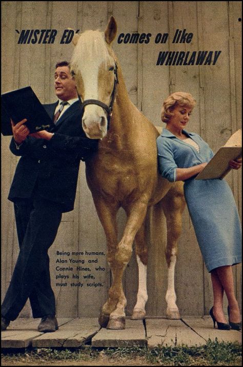 Mister Ed, Alan Young, Horse And Human, Funny Shows, Classic Television, Tv Land, Character Quotes, Old Shows, Great Tv Shows