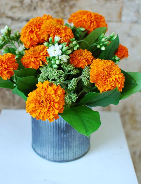 Marigolds- kitschy, or cute? Marigold Table Centrepiece, Marigold Flower Wedding Decoration, Marigold Wedding Centerpieces, Orange Marigold Wedding Decor, Marigold Flower Centerpiece, Orange Marigold Bouquet, Indian Flower Arrangements, Diwali Flower Arrangements, Marigold Table Decor