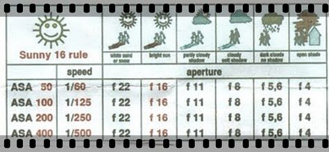 sunny 16 rule | The read more about The Sunny 16 Rule just log on to this website. Old Film Camera, Sunny 16 Rule, Sunny 16, Old Film, Light Meter, Film Camera, Film Photography, Photography Tips, On Tumblr