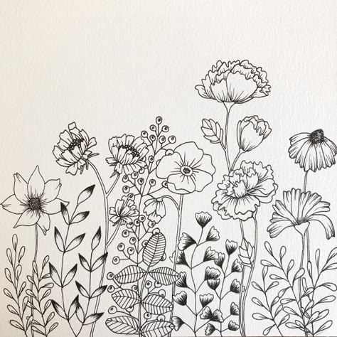 Flower And Plant Drawings, Western Flowers Drawing, Wildflower Sketch Drawings, Wildflower Sketch, Wildflower Drawings, Floral Line Drawing, Flower Line Drawing, Wildflower Painting, Wildflower Drawing