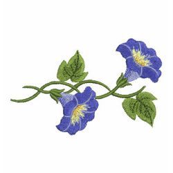 Morning Glory 2 machine embroidery designs Morning Glory Tattoo, Coral Painting, Morning Glory Flowers, Fresh Flower Bouquets, Morning Glories, Flower Tattoo Designs, Free Machine Embroidery Designs, Tole Painting, Embroidery Library