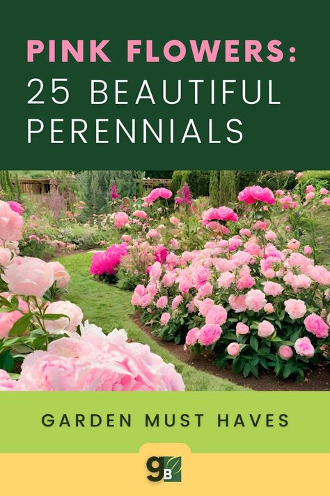 Transform your garden into a pink paradise with these 25 must-have pink perennials! Whether you're an experienced gardener or just starting out, these perennial flowering plants are sure to impress. Explore perennial garden ideas and discover the perfect additions to your outdoor space. See the full list of beautiful flower garden ideas and create your own pink floral haven. Start planning your dream flower garden today! Pink Flower Garden Ideas, Sunny Perennial Garden Flower Beds, Pink Perennial Flowers, Pink Flower Bed, Perennial Geraniums, Pink Flower Garden, Patio Oasis, Perennial Garden Plans, Gardening Herbs