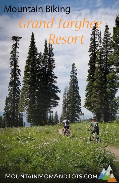 Mountain Biking Grand Targhee Resort – Big Mountain Fun, Small Town Feel Grand Targhee Resort, Ww2 Diorama, Big Cottonwood Canyon Utah, Idaho Adventure, Grand Targhee, Summer Vacation Destinations, Big Mountain, Beautiful Hikes, Building Tips