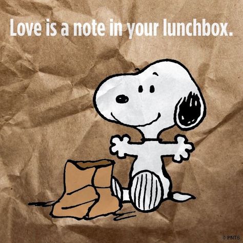 Yep, that note....small things that are really BIG. ;) Snoopy Sayings, Charles Shultz, Peanut Gang, Wise Thoughts, Snoopy Dog, Peanuts Cartoon, Peanuts Characters, Snoopy Quotes, Snoopy Pictures