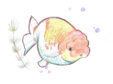 Fish Drawings, Sketchbook Art Journal, Fish Art, Cool Art Drawings, Sketchbook Art Inspiration, Art Journal Inspiration, Art Inspiration Drawing, Funky Art, Art Drawings Sketches