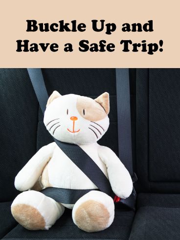 A cute cat stuffed animal sits in the backseat of a car. Wearing its seatbelt of course! If your friend is going out on an adventure, send them the Buckle Up and Have a Safe Trip card! Show you care, show enthusiasm for their new experience, and make them smile with this sweet kitty card. We think this card is good for all ages! Travels Quote, Happy And Safe Journey, Safe Travels Quote, Bon Voyage Cards, Happy Journey, Cat Stuffed Animal, Safe Trip, Have A Safe Trip, Have A Safe Flight