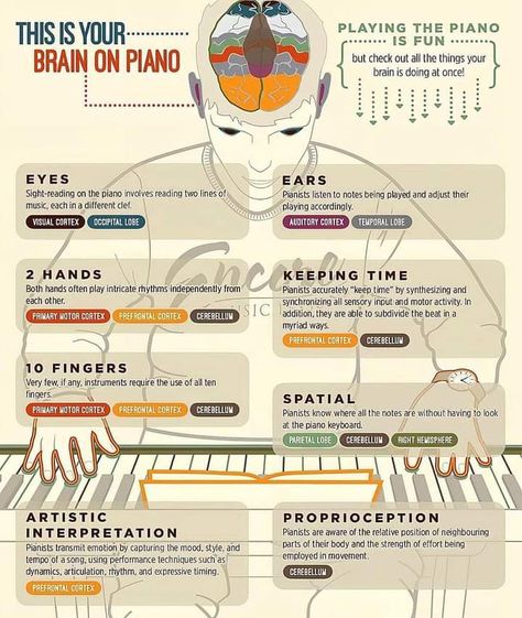 Harmony Music, Music And The Brain, Piano Teaching Resources, Online Music Lessons, Blues Piano, Integrated Learning, Fun Brain, Jenni Rivera, David Guetta