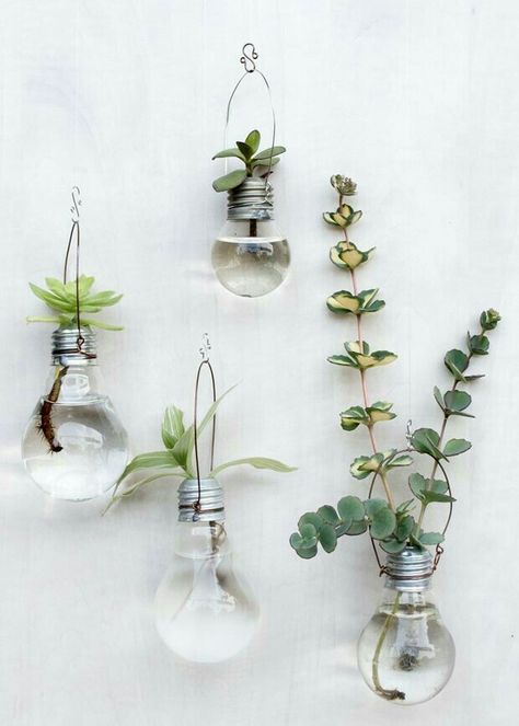 Diy Light Bulb Crafts, Hang Plants From Ceiling, Vase Tutorial, Water Plants Indoor, Diy Light Bulb, Light Bulb Crafts, Indoor Plant Wall, Neutral Bedroom Decor, Romantic Bedroom Decor