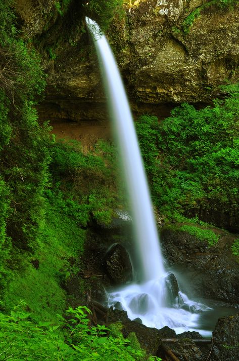 Rainy Winter, Silver Falls State Park, Grist Mill, Silver Falls, Cedar Creek, Winter Day, State Park, State Parks, Water