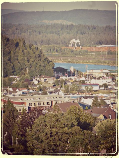 Aberdeen, WA 2013: Aberdeen High School, center Aberdeen Washington, Uncanny Valley, Western Washington, Continental Divide, Leap Year, I Want To Travel, Life Is A Journey, Aberdeen, Pacific Ocean