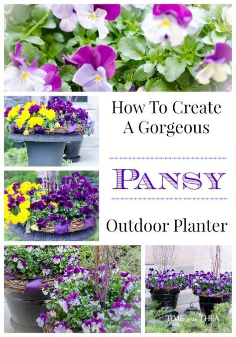 Gardening Therapy, Pansy Tattoo, Garden Frogs, Pansy Parkinson, Pansy Flowers, Modern Plant Stand, Garden Basket, Flowers Gardening, Hanging Succulents