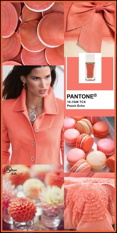 Peach Pantone, Peach Echo, Color Melon, Mood Colors, Beautiful Collage, Peach Fuzz, Coral Peach, Colour Board, Color Of The Year