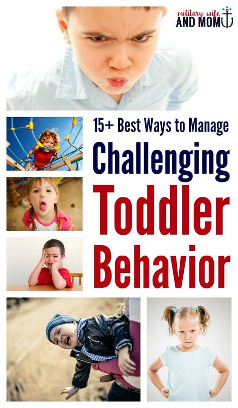 Aggressive toddler? Biting, hiting, kicking, whining, rude behavior--these are awesome ways to help stop these agressive behaviors in toddlers. Toddler Behavior Problems, Aggressive Toddler, Uppfostra Barn, Aggressive Behavior, Toddler Biting, Toddler Behavior, Tantrums Toddler, Toddler Discipline, Terrible Twos