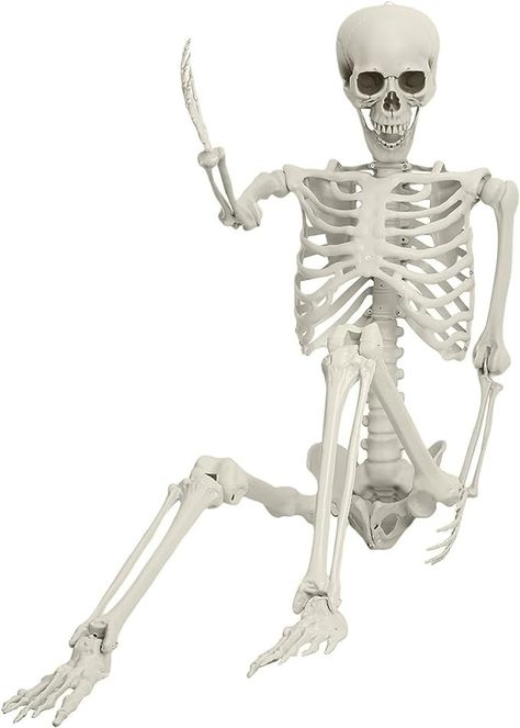 Full Size Skeleton, Poseable Skeleton Prop Life Size Plastic Halloween Human Bones Skeleton Party Supplies (White) Life Size Skeleton, Skeleton Model, Human Bones, Skeleton Halloween, Halloween Skeleton, Life Size, Full Body, Skeleton, Halloween Decorations