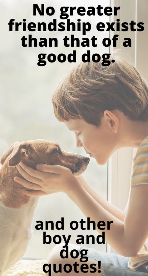 These 15 Heart-Warming Boy and Dog Quotes show you that boys love their dogs and dogs love their boys. They truly are man's best friend. #dogquotes #quotesaboutdogs #boyquotes #3boysandadog Mans Best Friend Quotes Dog, Dog And Human Quotes, Quotes About Dogs Passing, A Boy And His Dog Quotes, Dog Best Friend Quotes, Quotes About Dogs As Family, Excited Puppy, Girl And Her Dog Quotes, Funny Animals With Captions