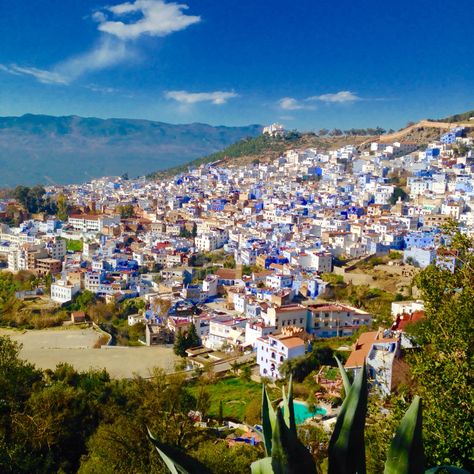 Chefchouan, Morocco ❤ Chefchouan Morocco, Moroccan Party, Travel Bucket, Travel Bucket List, Morocco, City Photo, Dolores Park, Bucket List, Travel